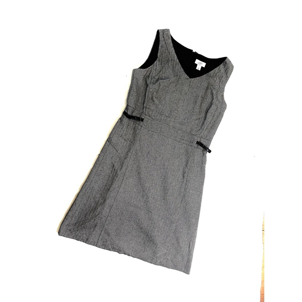 Ann Taylor Loft Dress